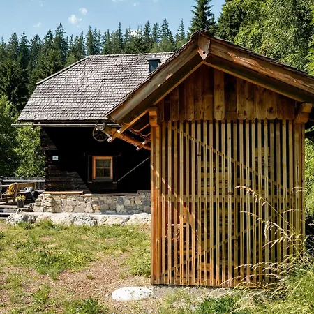 Apartment Waldhuette Stifthube *